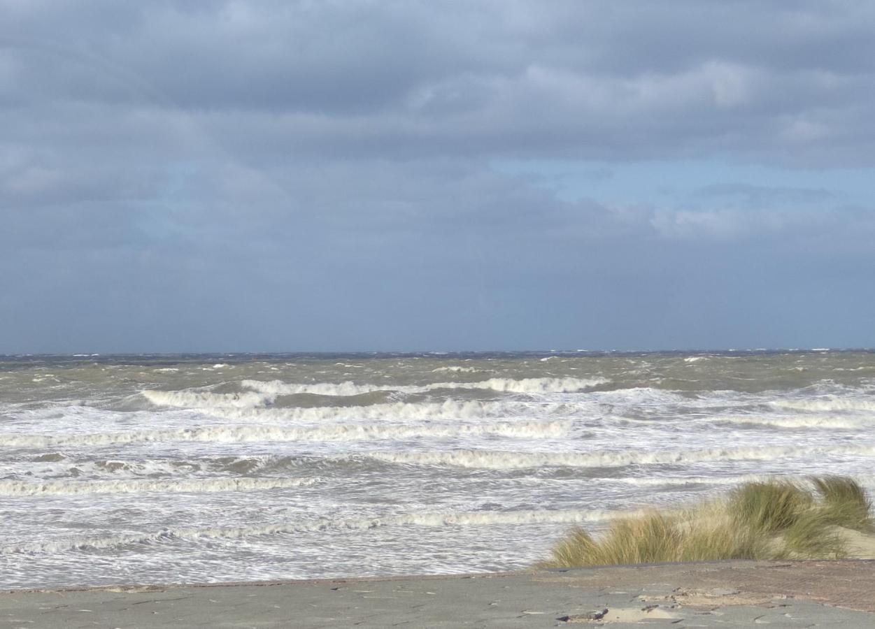 Dunkirk Plage Et Jardin A Malo Les Bains المظهر الخارجي الصورة
